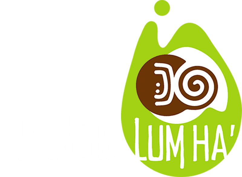Rancho Lum Ha' - Yontonte